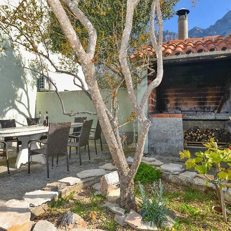 Villa Jelena Makarska Extérieur photo
